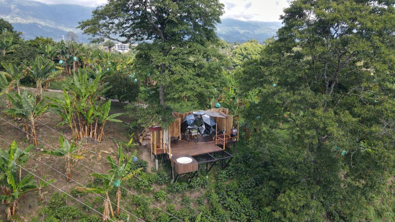 Hotel Happy Glamping Quindio - Tipo Domo Traslucido Calarcá Exterior foto