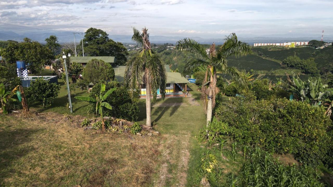 Hotel Happy Glamping Quindio - Tipo Domo Traslucido Calarcá Exterior foto